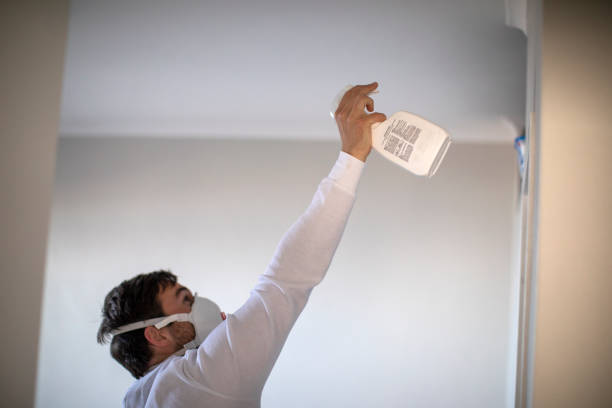 Best Mold Testing  in Wood Ridge, NJ