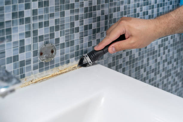 Best Attic Mold Removal  in Wood Ridge, NJ
