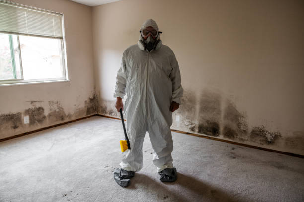 Best Local Mold Removal Service  in Wood Ridge, NJ